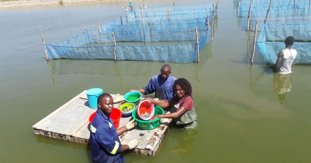 Annual Aquaculture Day - ABDP Kenya